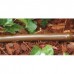 Furtun de picurare pentru irigatii Metzer IDIT 16/0,33/2,2 brown